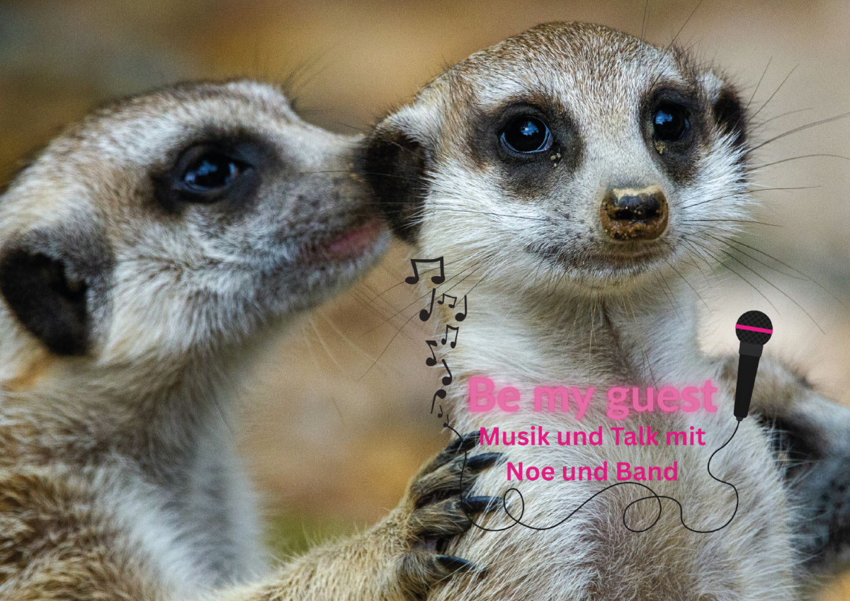 AUSGEBUCHT | Be my guest – Musik und Talk mit Noe und Band